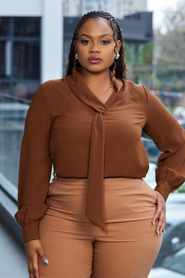 Brown Blouse